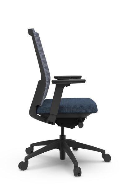 Der Goodtone Vix-B1