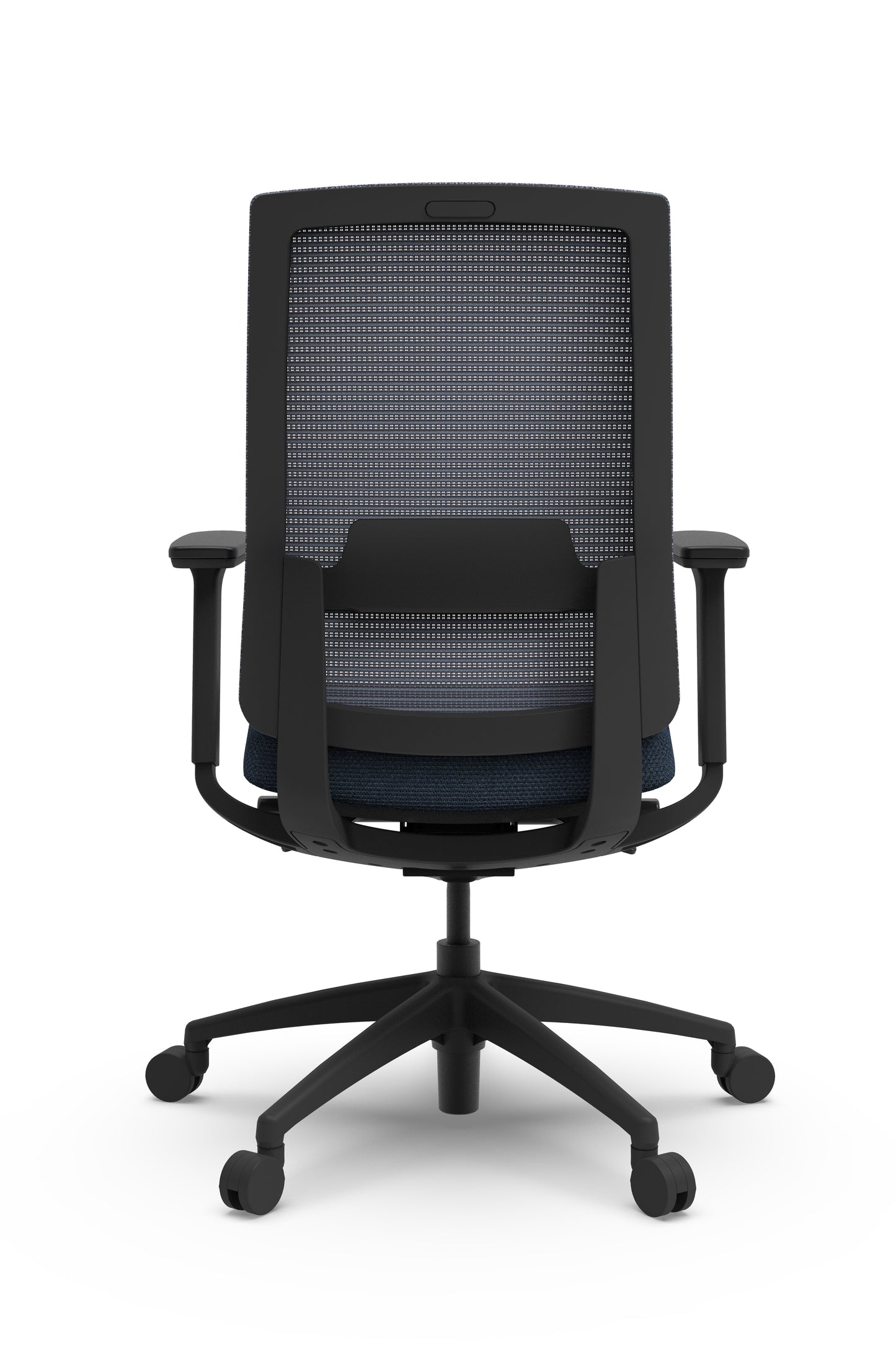 Der Goodtone Vix-B1